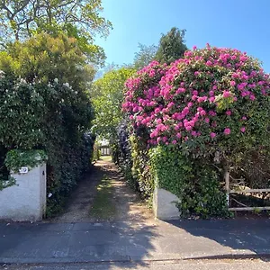 Ingledene A Spacious Family House , Bournemouth United Kingdom